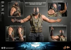 *PRE-ORDER Bane - The Dark Knight Rises Hot Toys Collectibles 1/6 Scale Action Figure -Toy Promotion Store bane dc comics gallery 63c9770f8cbe5 lg