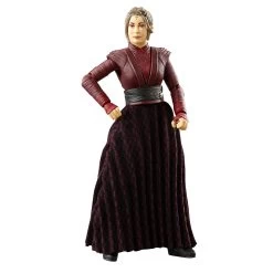Hasbro Star Wars The Vintage Collection 3.75 Inch Action Figure Wave 49 - Morgan Elsbeth -Toy Promotion Store f73455x00 detail 2 23 2000px 300dpi