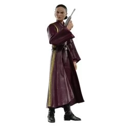 Hasbro *PRE-ORDER Star Wars Black Series Phantom Menace Exclusive 6 Inch Action Figure - Padme Amidala -Toy Promotion Store g00255x21 detail 5 23 1 2000px 300dpi